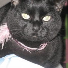 Profile Picture of Stella Petersen (@405267785) on Myspace