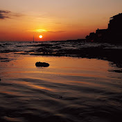 Profile Picture of Beisel (@beisel3573) on Youtube