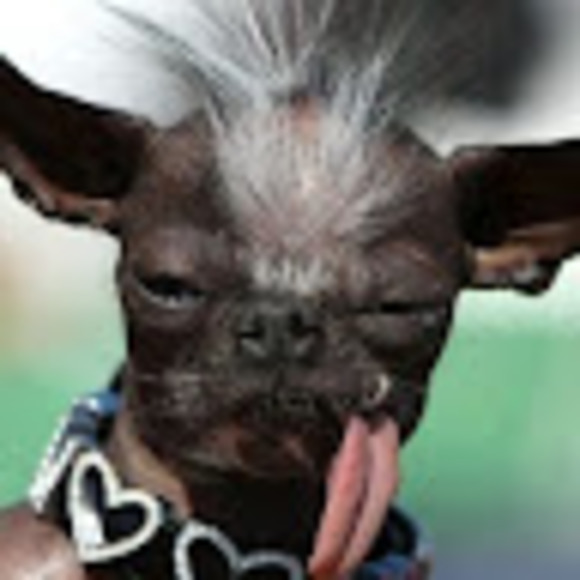 Profile Picture of Tony Lazos (@tlazos81) on Poshmark