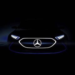 Profile Picture of Darek Bellator (@darek.bellator) on Tiktok