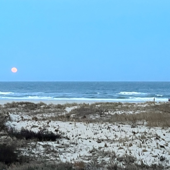 Profile Picture of Olivia Pursell (@lizp937) on Poshmark