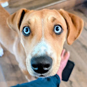 Profile Picture of Brian Bowers (@brianjbowers) on Youtube