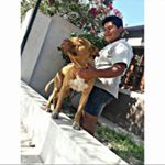 Profile Picture of Nicolas Juarez (@juarez1722) on Instagram