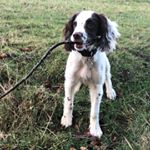 Profile Picture of Matt Elam (@elambongo_) on Instagram