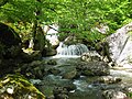 Profile Picture of Kashuni, Armeniaon Wikipedia