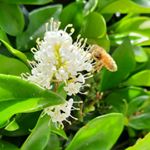 Profile Picture of Cody Jacobs (@jacobscody74) on Instagram