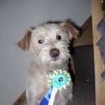 Profile Picture of Dan Marshall-Bull (@danmarshallbull) on Instagram