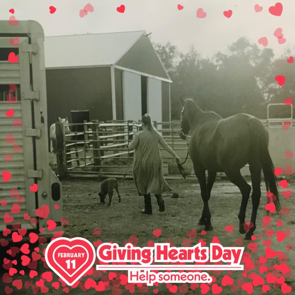 Profile Picture of Miranda Albert (@mirjoy) on Poshmark