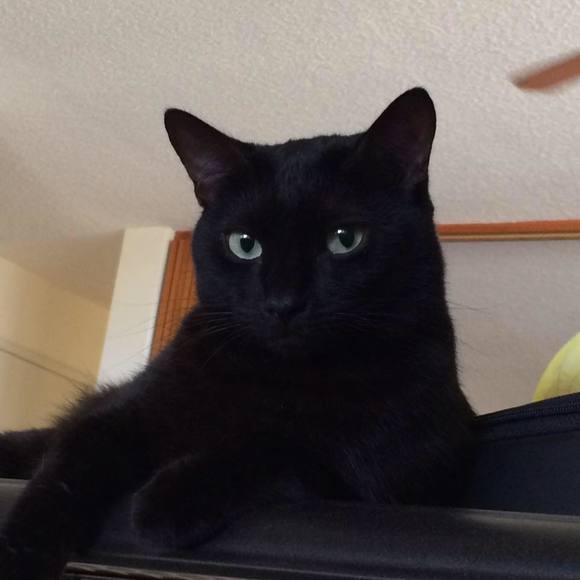 Profile Picture of Rhea Mattheus (@rhea_mattheus) on Poshmark