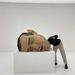 Profile Picture of Brian Leung (@brianleungkh) on Pinterest