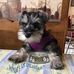 Profile Picture of Larry Salfer (@larry.salfer.9) on Facebook