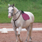 Profile Picture of Alex McLeod (@alexmcleod7699) on Youtube