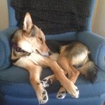 Hilda Russell-Webb - Instagram Profile Picture of Hilda Russell-Webb (@hildabeanz) on Instagram