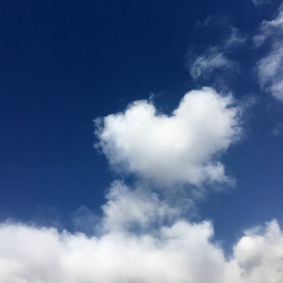 Profile Picture of 伍块钱 (@XingTong172) on Twitter