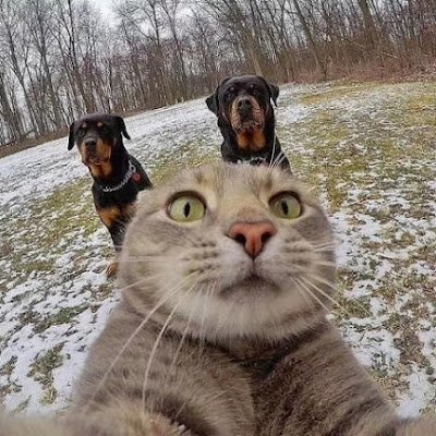 Profile Picture of LiPing Peng (@julyueluo) on Twitter