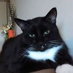 Profile Picture of Gillian Clifford (@cliffordgillian1950) on Instagram