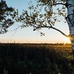 Profile Picture of kerne broadray (@kernebroadray) on Instagram