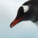 Profile Picture of Charlie Kuly (@charlietuly) on Instagram