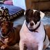 Profile Picture of John McCready (@john.mccready.9235) on Facebook