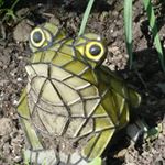 Profile Picture of David Wellendorf (@davidwellendorf) on Instagram