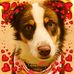 Profile Picture of Crystal Wilcher (@crystal.wilcher.12) on Facebook