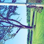 Profile Picture of Paige Varalli (@paigevaralli) on Instagram