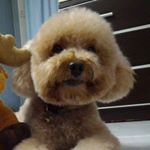 Profile Picture of richard augustin (@richey_74) on Instagram