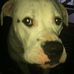 Profile Picture of Kim Cundiff (@kim.cundiff.71) on Facebook