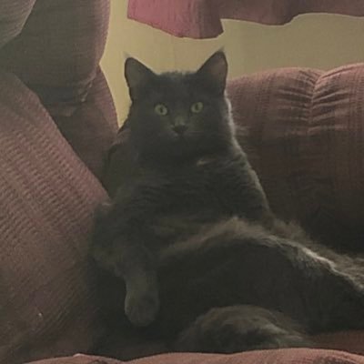 Profile Picture of Joshua Mohan (@joshuamohan8) on Twitter