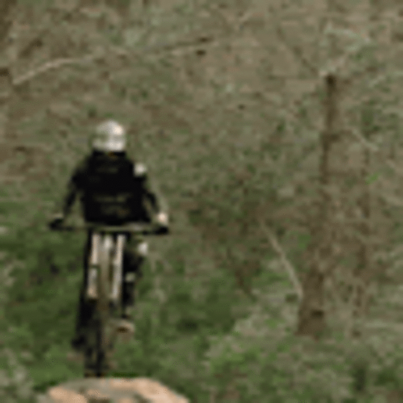 Grayson Alesio - Poshmark Profile Picture of Grayson Alesio (@graysonalesio) on Poshmark