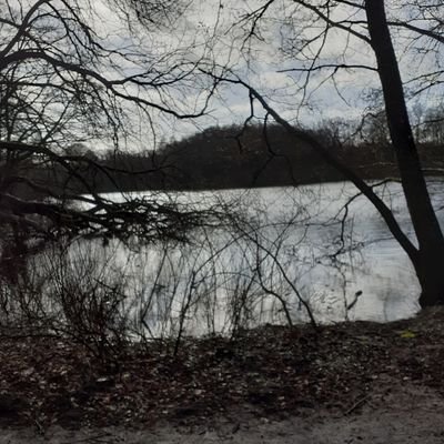 Profile Picture of Birgit Berg Hansen (@BirgitBergHans1) on Twitter