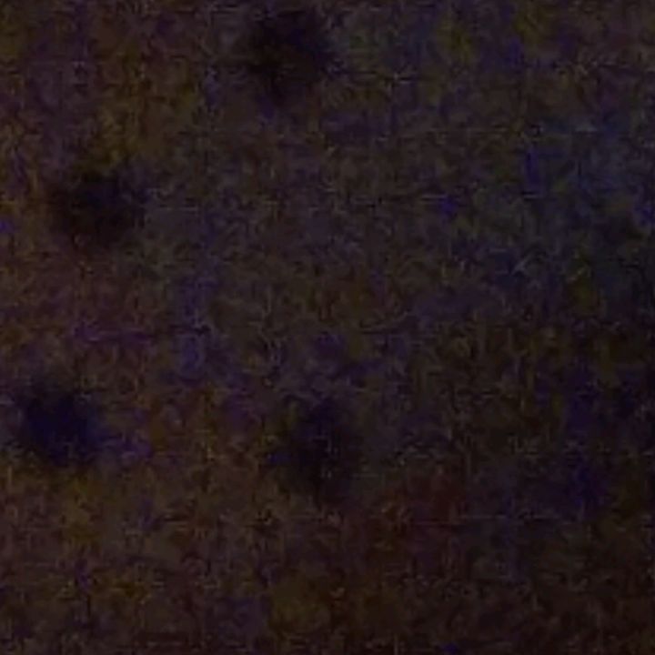 Profile Picture of sturdyclan (@robertwwilson0) on Tiktok