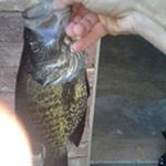 Profile Picture of Brett Hilliard (@brett.hilliard.37) on Instagram