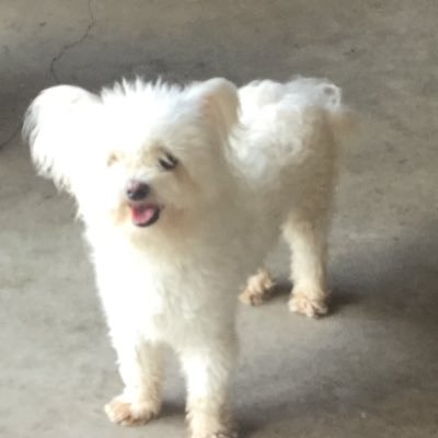 Profile Picture of Matthew Dotson (@matthew85150863) on Twitter