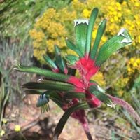 Profile Picture of Tina Andersen (@tina-andersen-2) on Quora