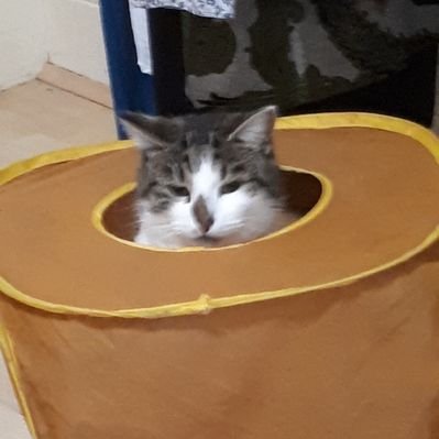 Profile Picture of Motherofnutters (@DeborahHillier) on Twitter