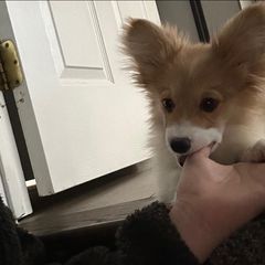 Profile Picture of jasondao (@jasondao) on Tiktok