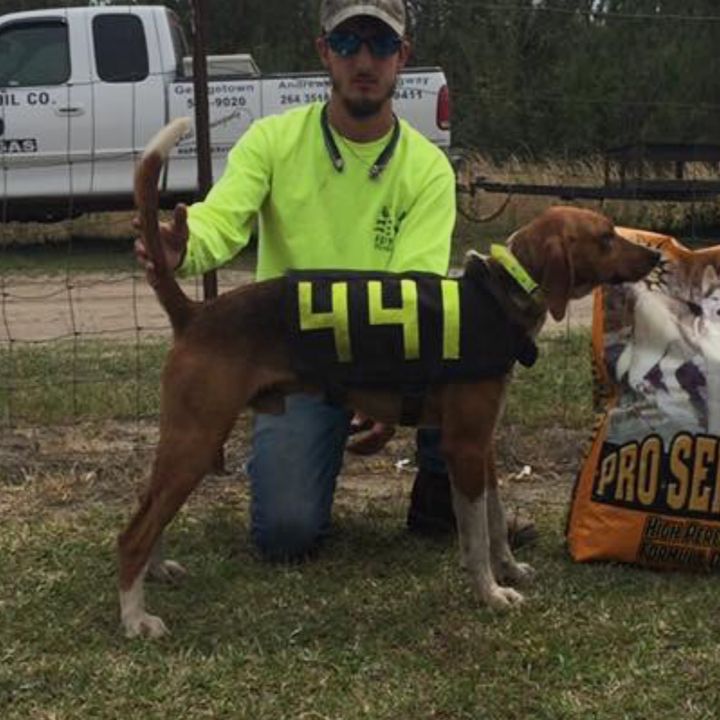 Profile Picture of user3924667119496 (@gregobowman) on Tiktok