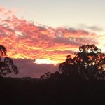 John Barb Snelling - Instagram Profile Picture of John Barb Snelling (@john.snelling.79) on Instagram