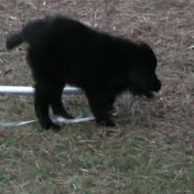 Profile Picture of Sarah Sleight (@sarahpotter25) on Youtube