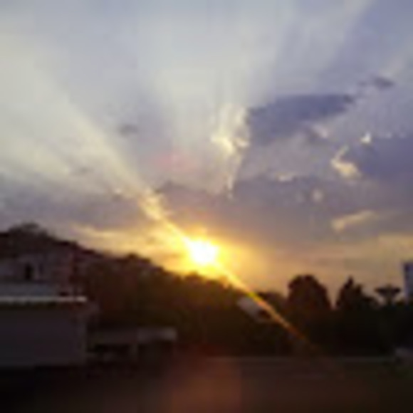 Profile Picture of Priyanka Nair (@priyankanair299) on Poshmark