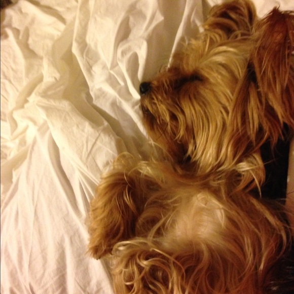 Profile Picture of Julianna Espinal (@julie070504) on Poshmark