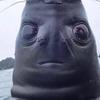 Profile Picture of bobbyalley (@bobbyalley2007) on Tiktok