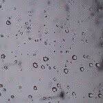 Profile Picture of alanis (@alanis.m) on Instagram