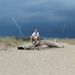 Profile Picture of Rainer Botzki (@rainerbotzki) on Pinterest
