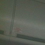 Profile Picture of Jean (@ijody_lantzy_ba91) on Instagram