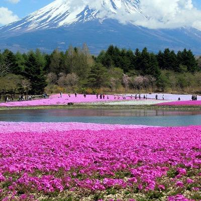 Amy Nostrand - Twitter Profile Picture of Amy Nostrand (@nostrand63) on Twitter