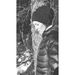 Profile Picture of Carolyn Hawkes (@chawkes522) on Pinterest