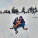 David Avalos - Instagram Profile Picture of David Avalos (@david_avalos12) on Instagram