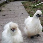 Profile Picture of Emily Retter (@retter.emily) on Instagram